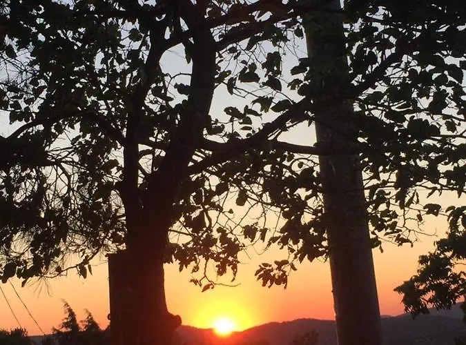 Szálloda Tas Palace Assos