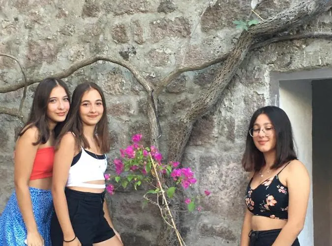 Szálloda Tas Palace *